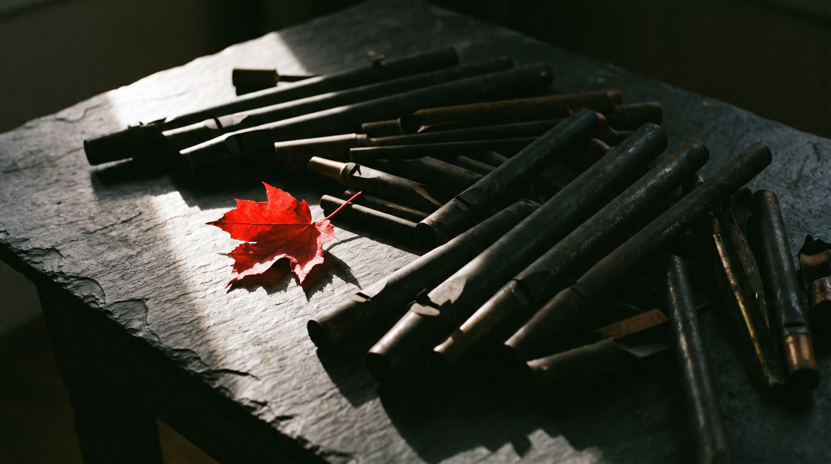 Supplement jar silhouette with red maple leaf beside capsules