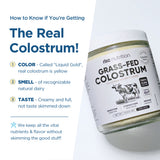 Bovine Colostrum Powder