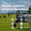 Bovine Colostrum Powder
