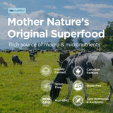 Bovine Colostrum Powder
