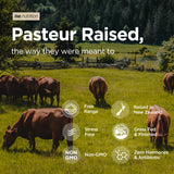 Grass-Fed Beef Organ Complex