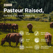 Grass-Fed Beef Organ Complex — 2-Pack Bundle
