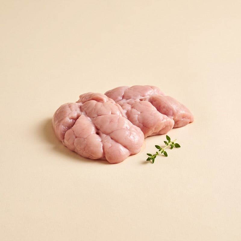 Pancreas